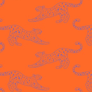 big// Leopard Stretching Drawing Orange and violet