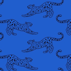 big// Leopard Stretching Drawing bright blue