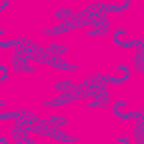 big// Leopard Stretching Drawing Brights Pink and Blue