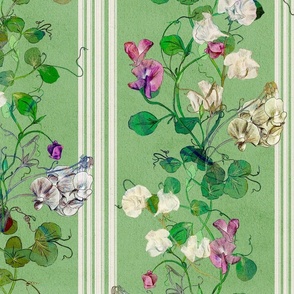 Watercolor Sweet Pea climbing plants with cream stripes on a green background