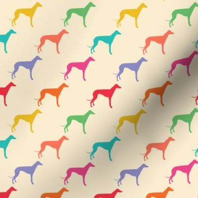 Greyhounds - Multicolored