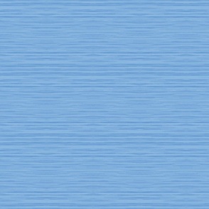 Blue Marl Stripe / medium