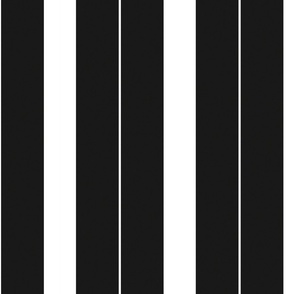 Black And White Stripe Pattern VI Vertical