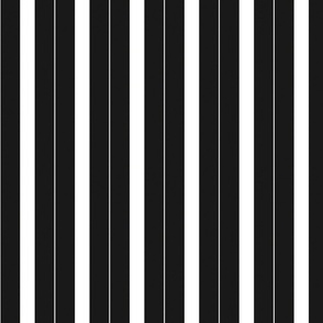 Black And White Stripe Pattern VI Vertical Smaller Scale