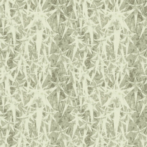 Stars in Sage and White 