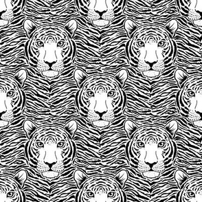 Tiger  head print 