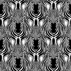 Zebra head print