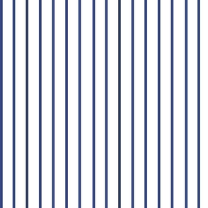 COASTAL VERTICAL NAVY BLUE AND WHITE STRIPES