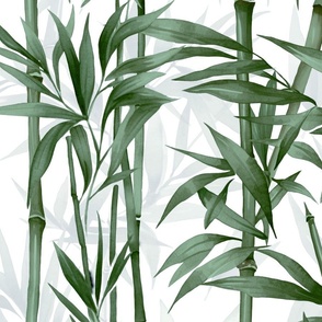 Nature Beauty Bamboo Botanical Watercolor Pattern Green On White