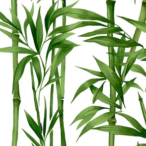 Nature Beauty Bamboo Botanical Watercolor Pattern Lush Green White