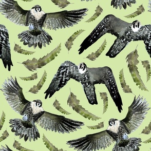 Seamless pattern with birds of prey flying in the sky, hand drawn in watercolor on paper 1