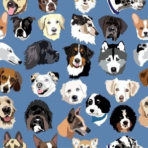 medium scale // 21 Loyal Dogs to Watch over You  Dog lover 