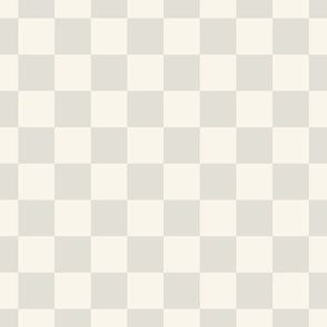 Checks Checkerboard in Mist (very pale gray)