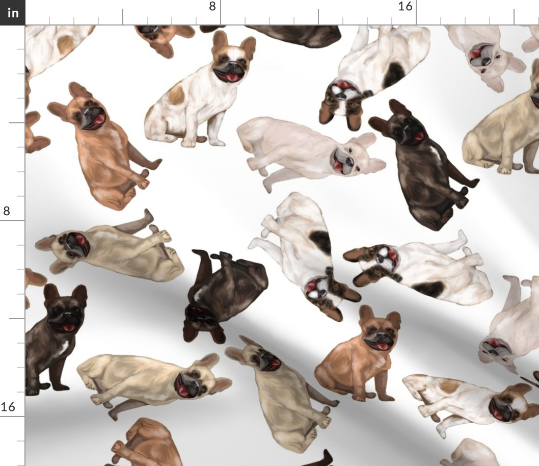 Assorted French Bulldogs Tumbling on White