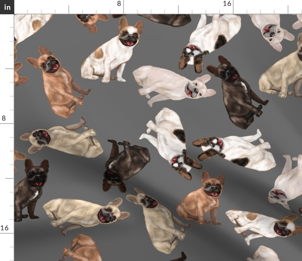 Assorted French Bulldogs Tumbling on Gray