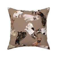 Assorted French Bulldogs Tumbling on Light Brown