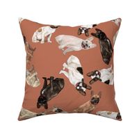 Assorted French Bulldogs Tumbling on Terra Cotta Brown