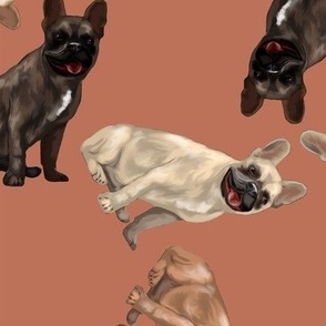 Assorted French Bulldogs Tumbling on Terra Cotta Brown