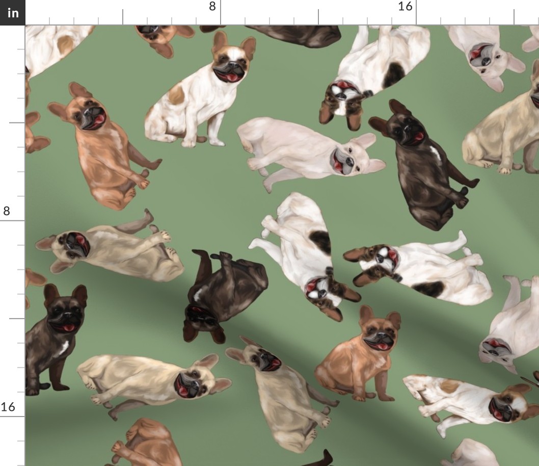 Assorted French Bulldogs Tumbling on Sage Green