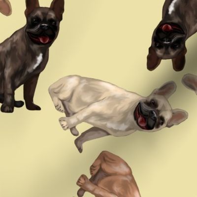 Assorted French Bulldogs Tumbling on Light Yellow