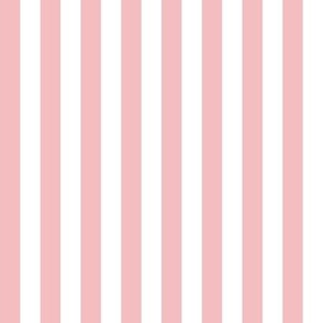 Chrystal rose stripes 