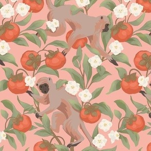 persimmons and monkeys pink