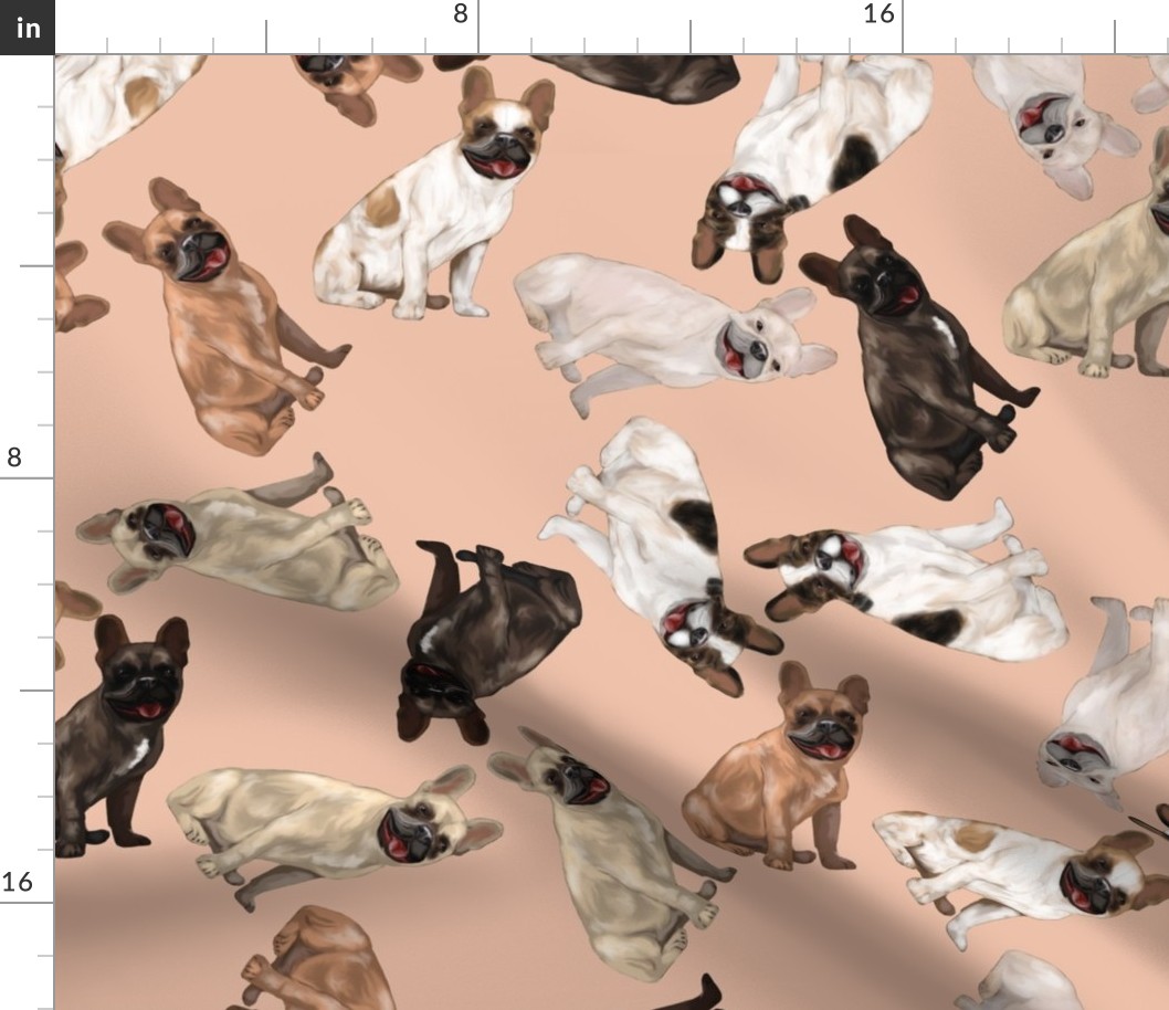 Assorted French Bulldogs Tumbling on Blush Pink