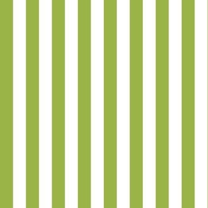 Summer stripes - titanite green 
