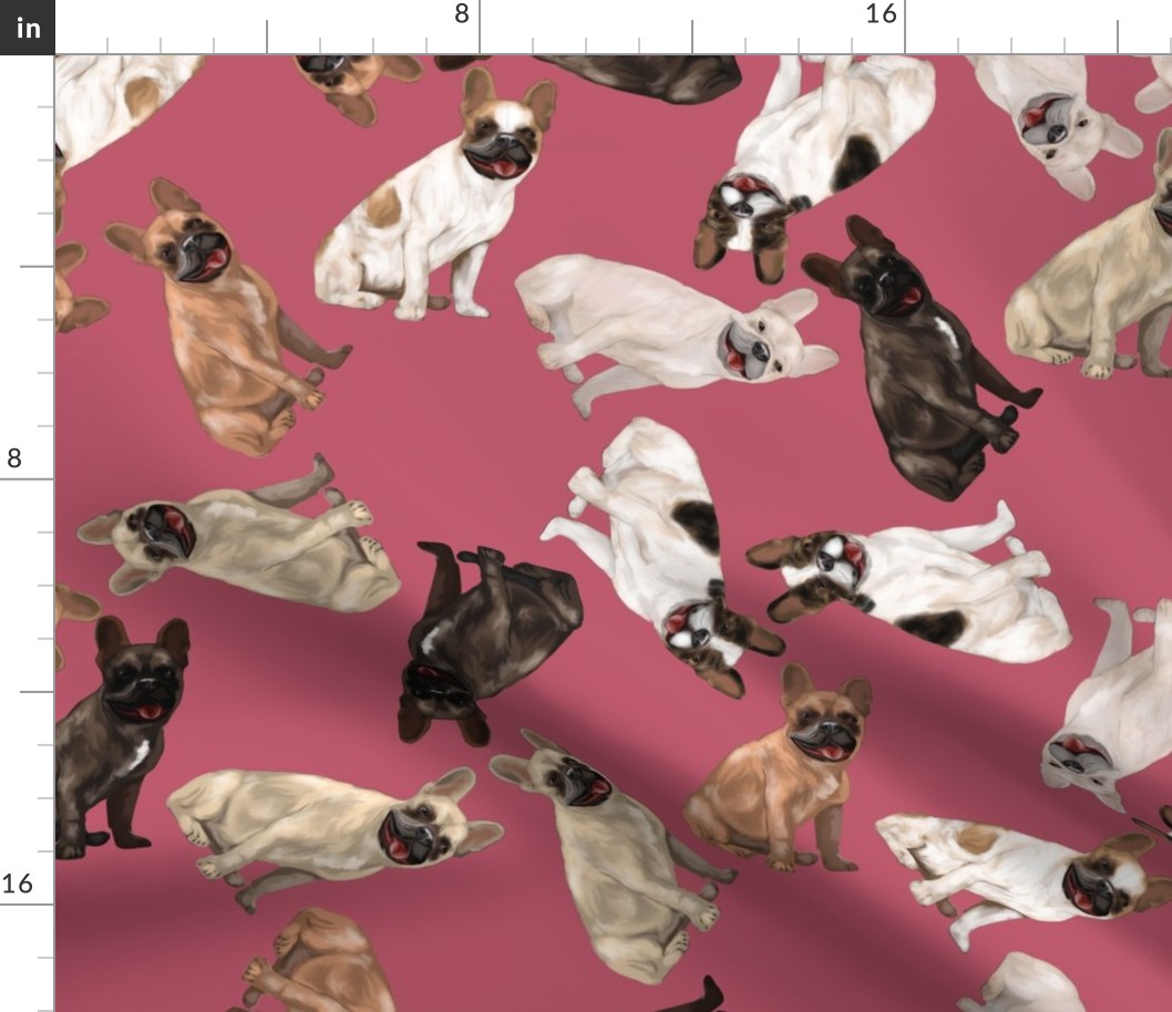 Assorted French Bulldogs Tumbling on Raspberry Pink