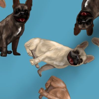Assorted French Bulldogs Tumbling on Sky Blue
