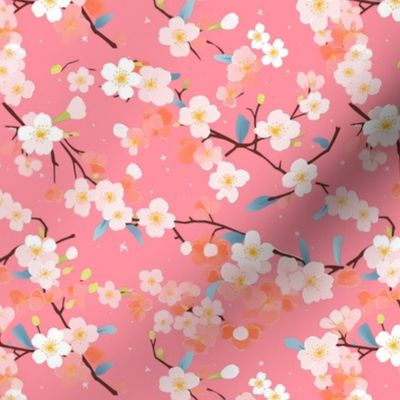 Kawaii Cherry Blossoms