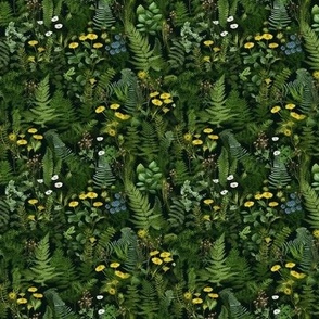 Wildflowers and Ferns