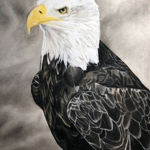 Bird of Prey: The Eagle