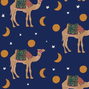 Desert Constellations: The Celestial Camel Pattern 