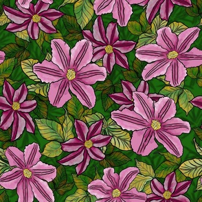 Clematis - Leaves and Flowers - Hero