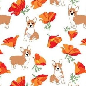 Corgi dogs and orange California Poppy flowers orange floral