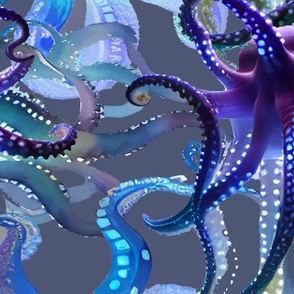 octopus, multicolored, luminous, sea, tentacles, octopus, blue, atmosphere, aquatic environment, aquarium