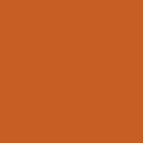 Solid rusty brown orange / plain color