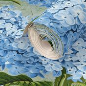 Hydrangea on skeleton leaves