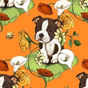 Boston Terrier Stoffe, Tapete & Wohnaccesssories - Spoonflower
