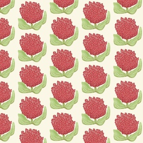 Red and green Scottish Thistle on a cream background - rustic vintage feel - large