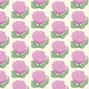 Pink and green Scottish Thistle on a cream background - rustic vintage feel - large