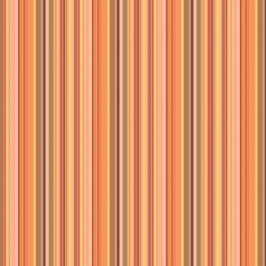 Peachy Fall Stripes