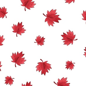 Oh Canada Maple Leaves