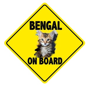 Bengal on Board 