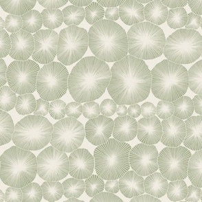 Starburst Geo Line Doodle_Creamy White_Light Sage Green_Hand Drawn Textured Fun Geometric