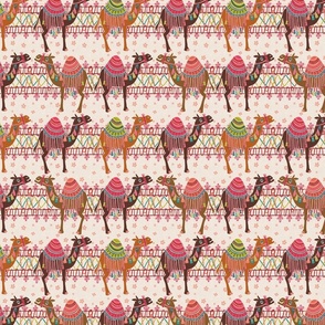 Decorated Dromedary Camels // Small