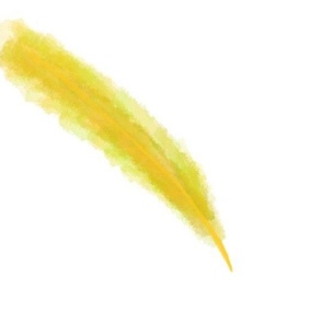 Feathers Yellow, watercolour effect. 