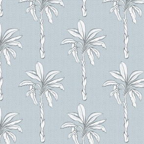 vintage palm trees on desert gray | medium