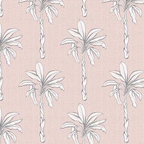 vintage palm trees on desert gray | medium